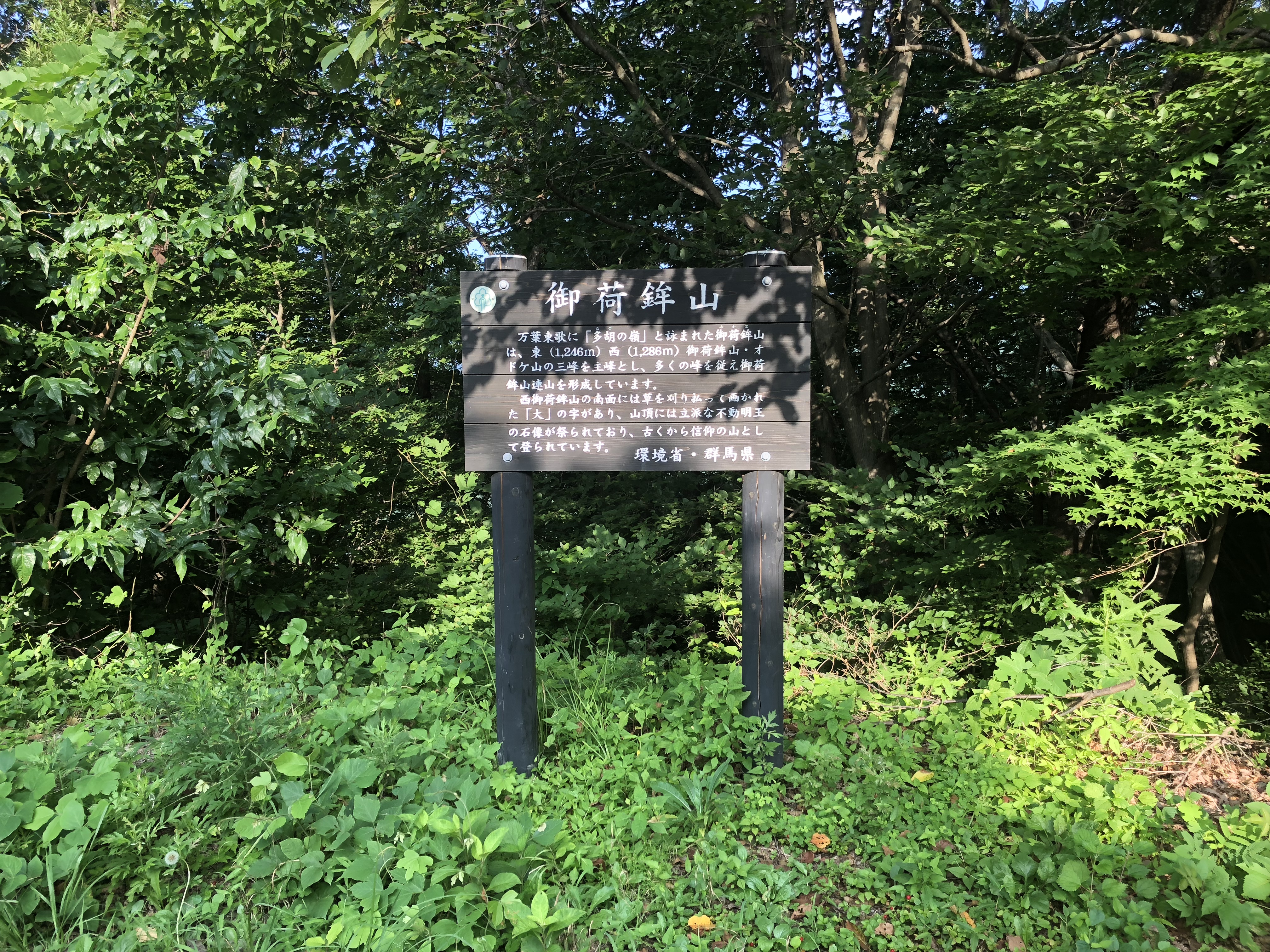 A10A0D8B-B7A3-4134-A686-BD2FAD44AF34